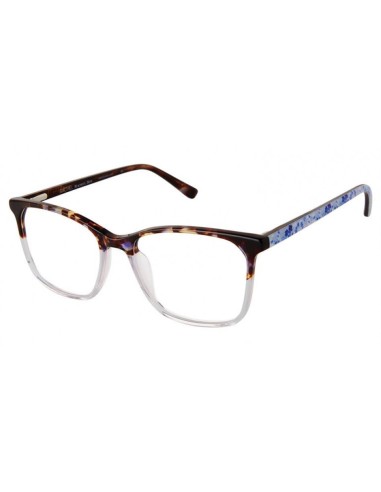 RACHEL Roy Candid Eyeglasses rembourrage situé sous