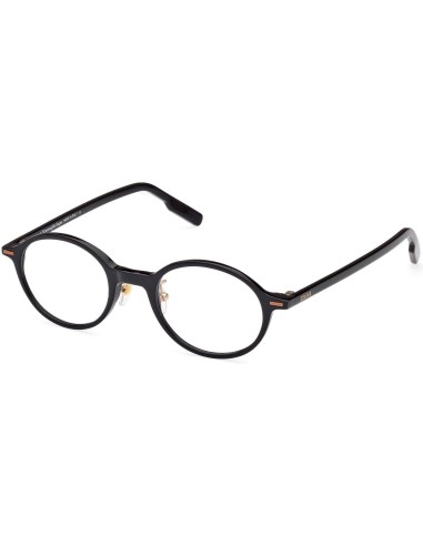 ZEGNA 5256 Eyeglasses france