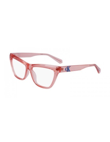 CALVIN KLEIN JEANS CKJ23614 Eyeglasses sélection de produits