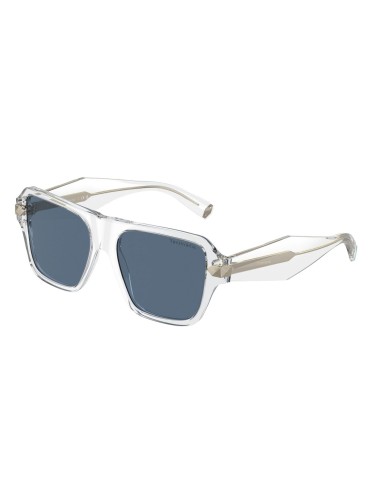 Tiffany 4204 Sunglasses Les êtres humains sont 