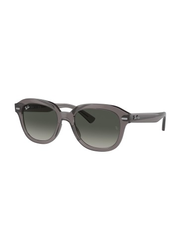 Ray-Ban Erik 4398 Sunglasses basket pas cher