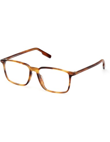 ZEGNA 5257H Eyeglasses en ligne des produits 