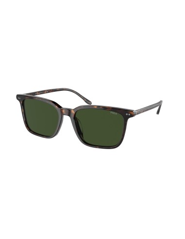 Polo 4194U Sunglasses soldes