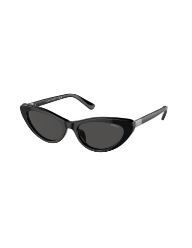 Polo 4199U Sunglasses 2024