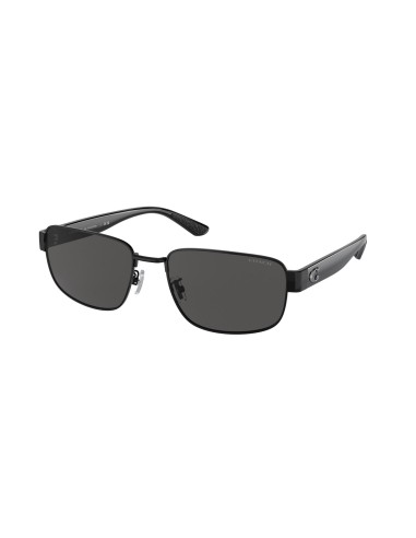 Coach Ch579 7149 Sunglasses Vous souhaitez 