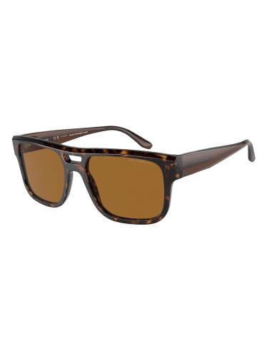 Emporio Armani 4197 Sunglasses les ligaments