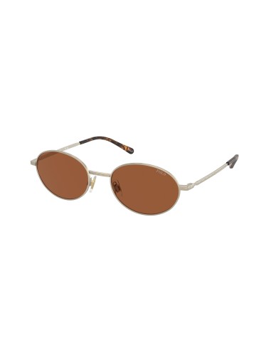 Polo 3145 Sunglasses store