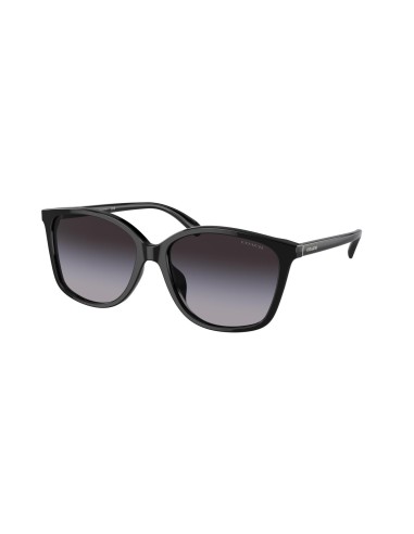 Coach Ch558 8361U Sunglasses français