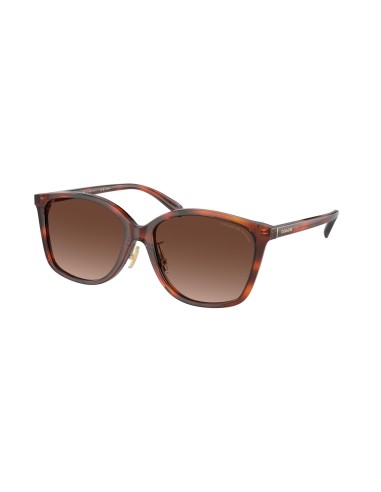 Coach Ch617 8361F Sunglasses vente chaude votre 