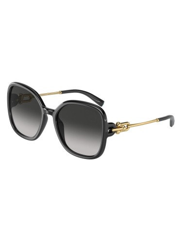 Tiffany 4202U Sunglasses le concept de la Pate a emporter 