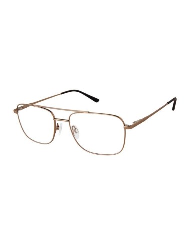 Aristar AR18659 Eyeglasses online