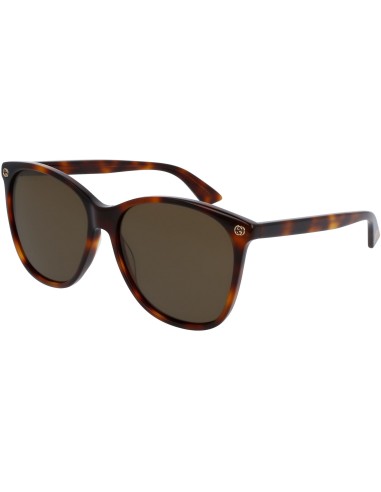 Gucci Sensual Romantic GG0024S Sunglasses online