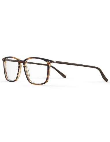 Elasta E8004 Eyeglasses Comparez plus de prix