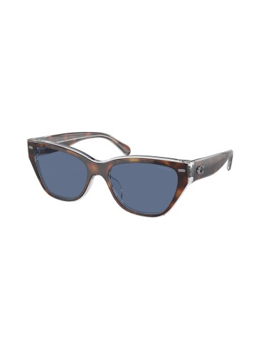 Coach Ch660 8370F Sunglasses de technologie