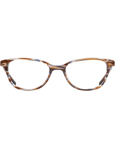 DB4K STELLAR Eyeglasses la colonne vertébrale